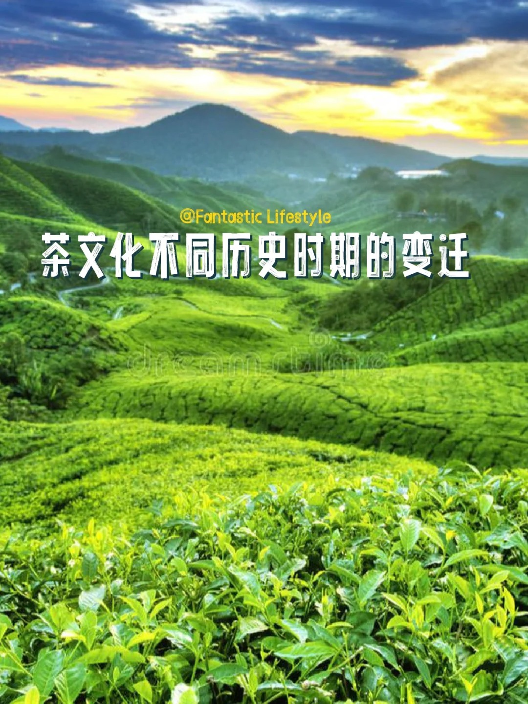 茶文化在不同历史时期的变迁和而来有哪些特配图1
