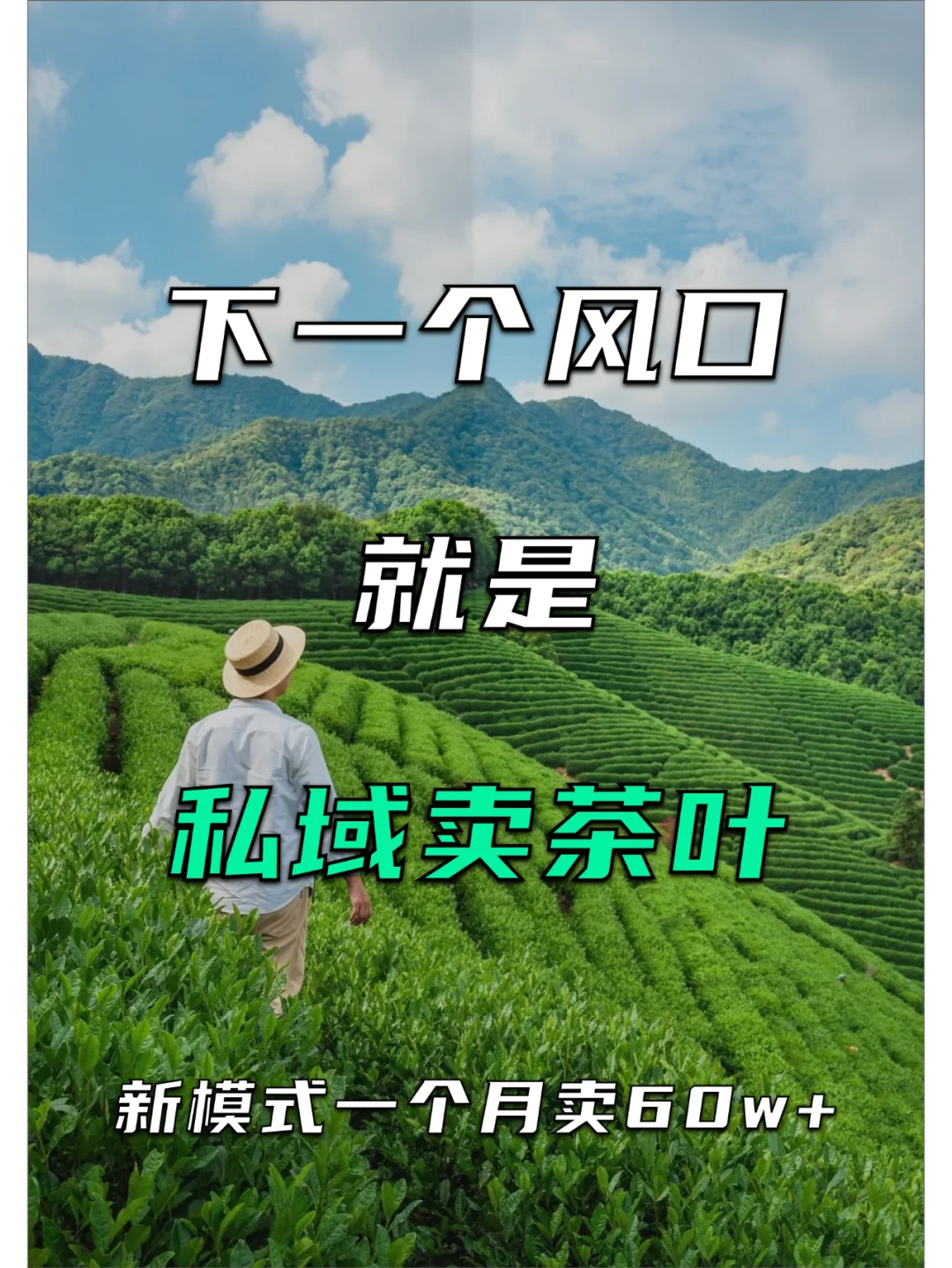 私域卖茶叶,越高端越好做配图1