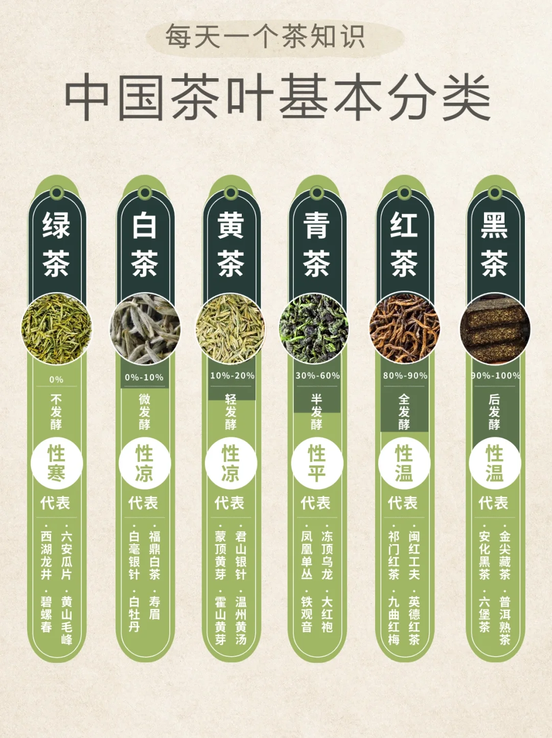 🔥六大茶类名茶代表配图1