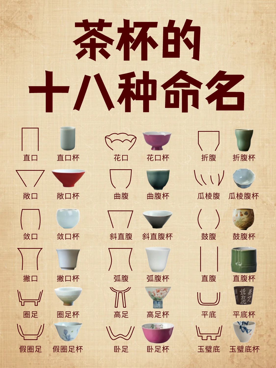 一图详解 | 茶杯是如何命名的?配图1