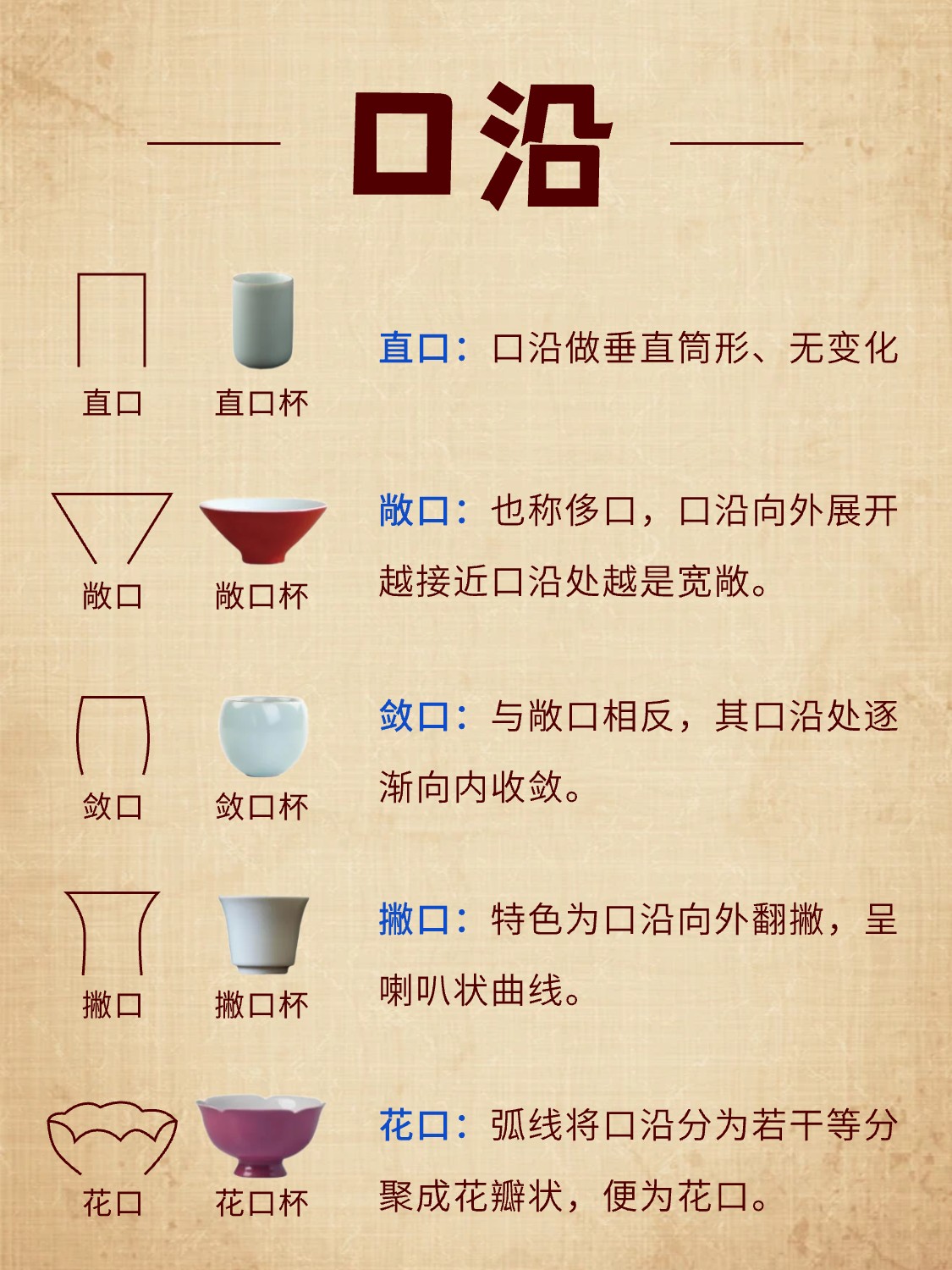 一图详解 | 茶杯是如何命名的?配图6