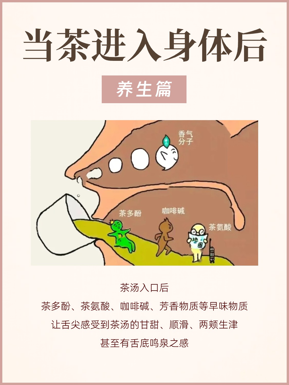 茶进入身体后,都发生了什么❓配图3