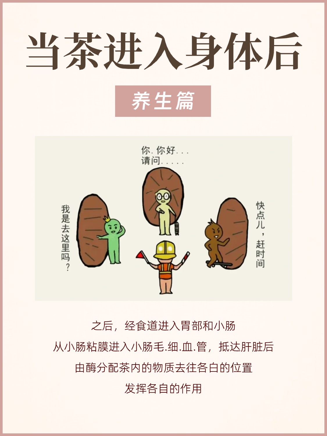 茶进入身体后,都发生了什么❓配图4