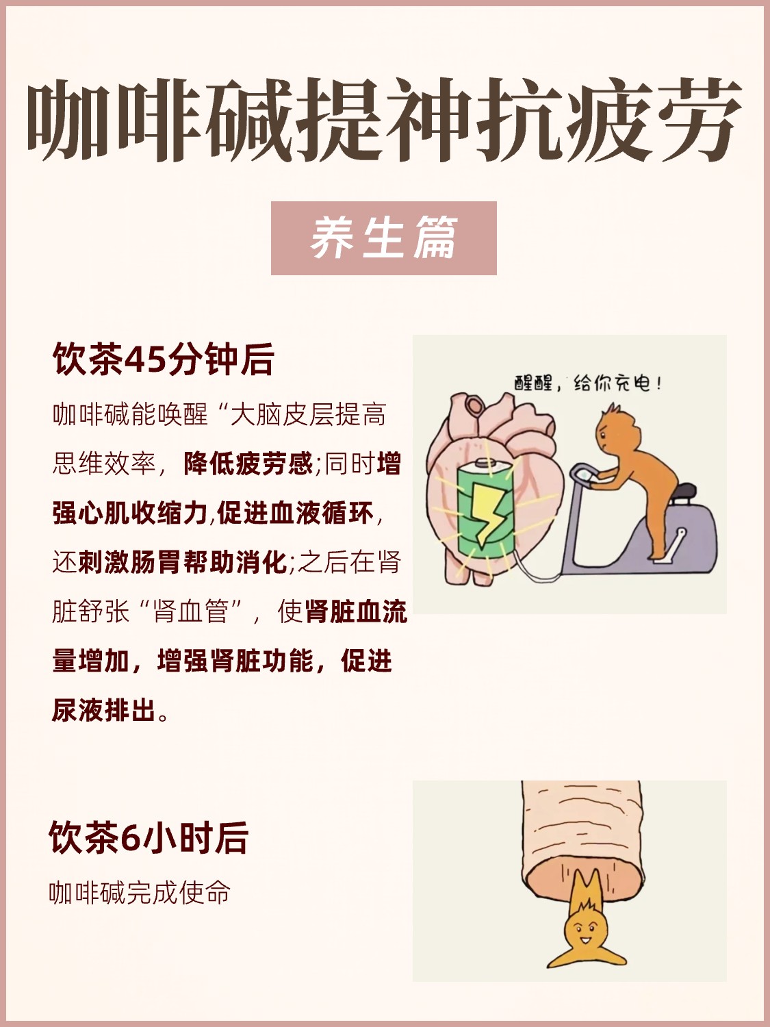 茶进入身体后,都发生了什么❓配图5