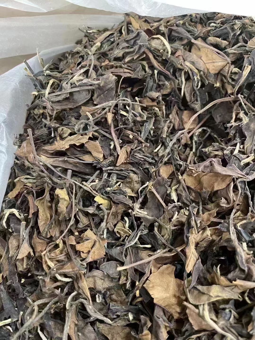 91年 春寿眉老白茶 ~福鼎太姥山配图2