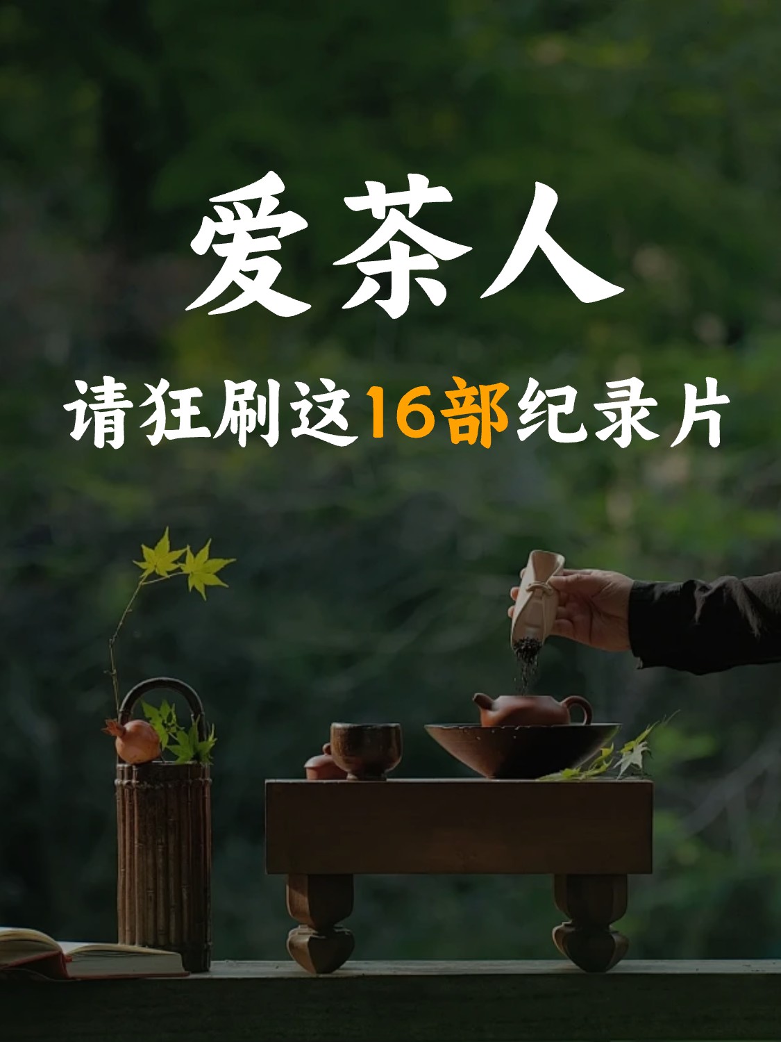 茶文化🔥爱茶人必看的16部纪录片配图1