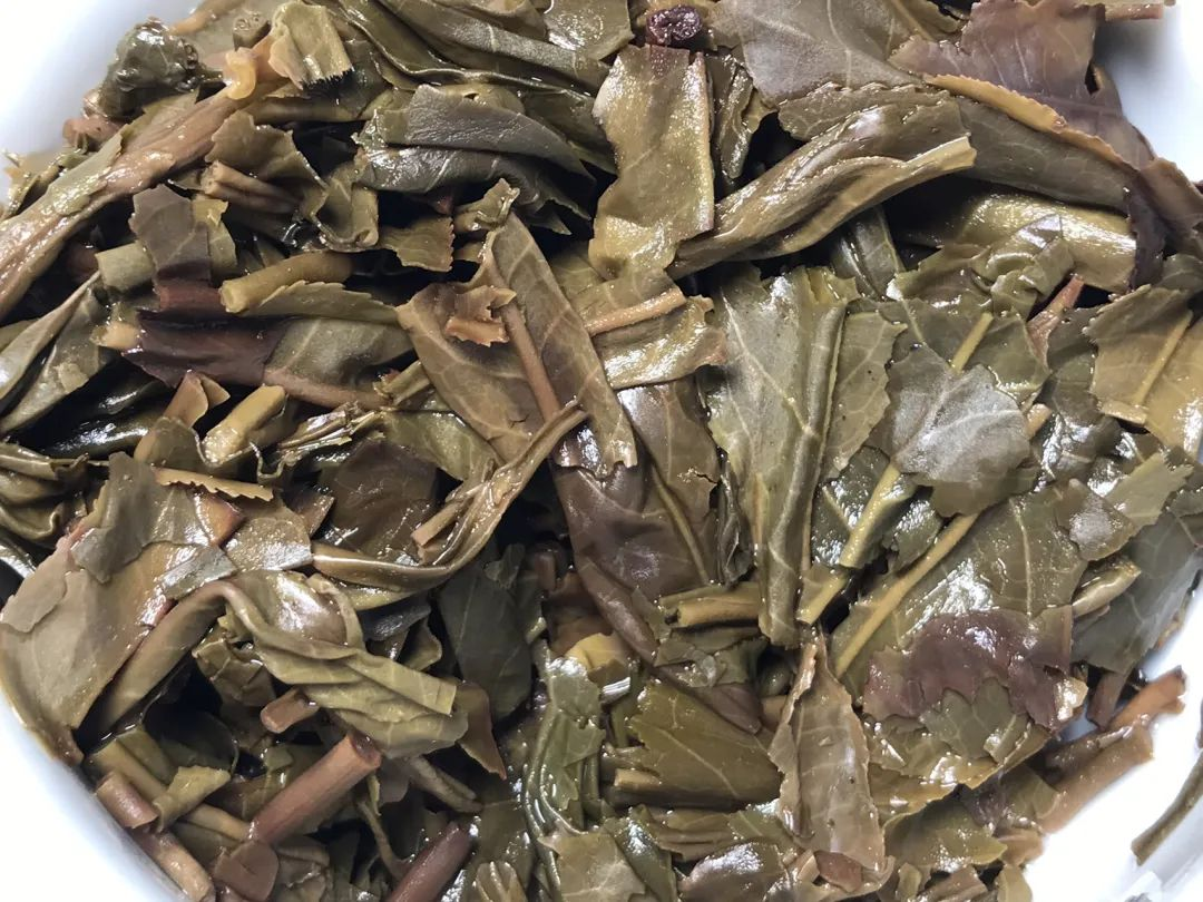茶底信息图片1