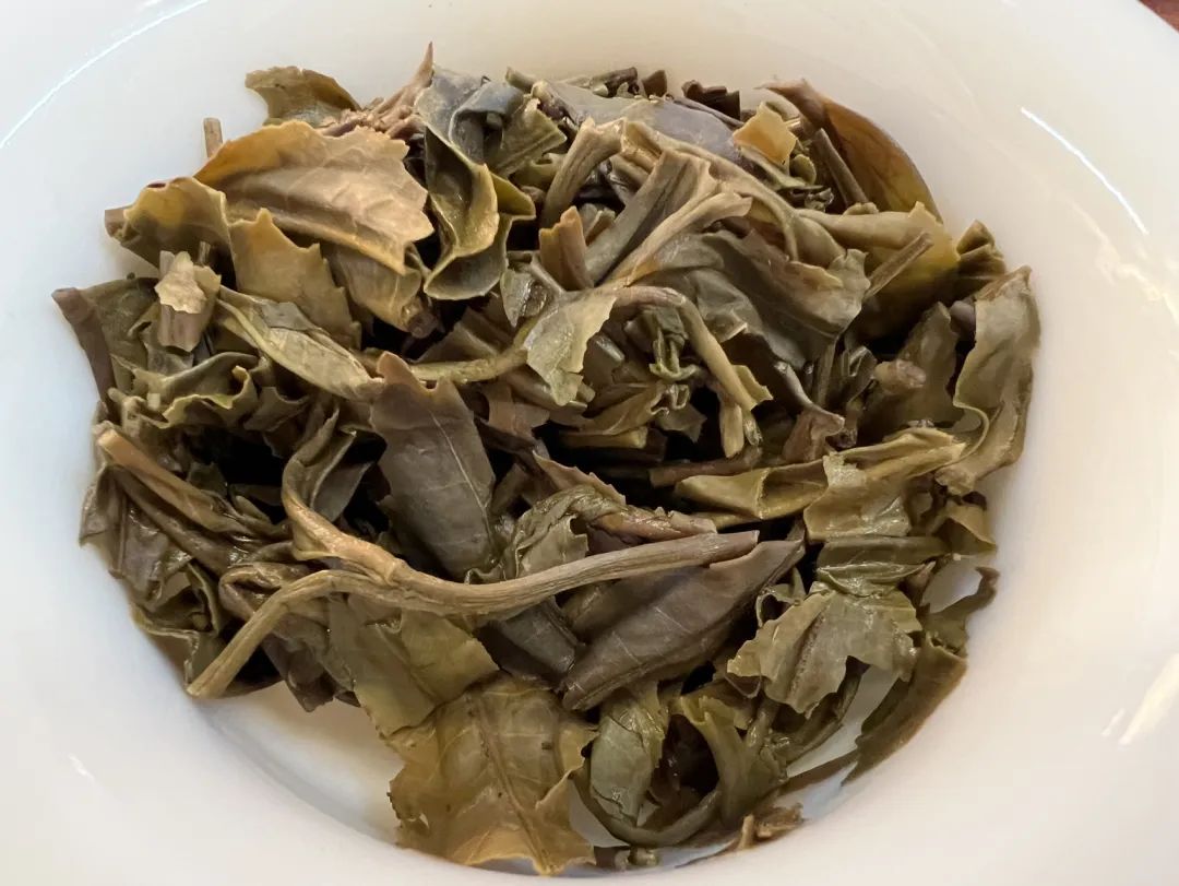 茶底信息图片1
