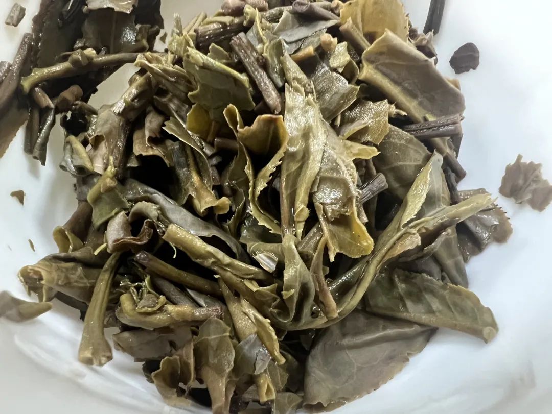 茶底信息图片1