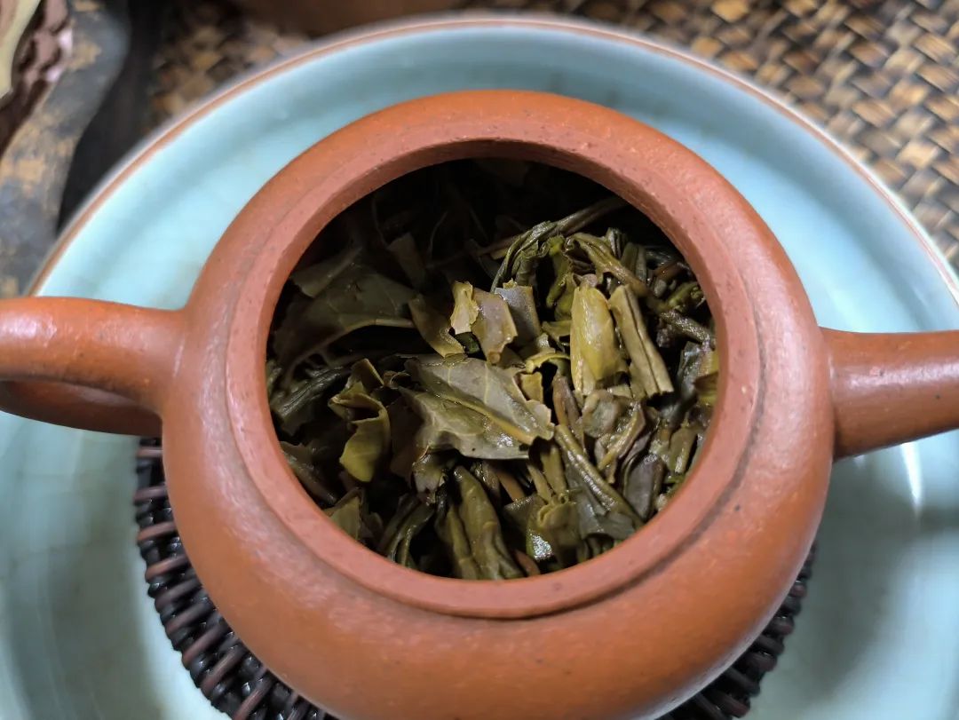 茶底信息图片1