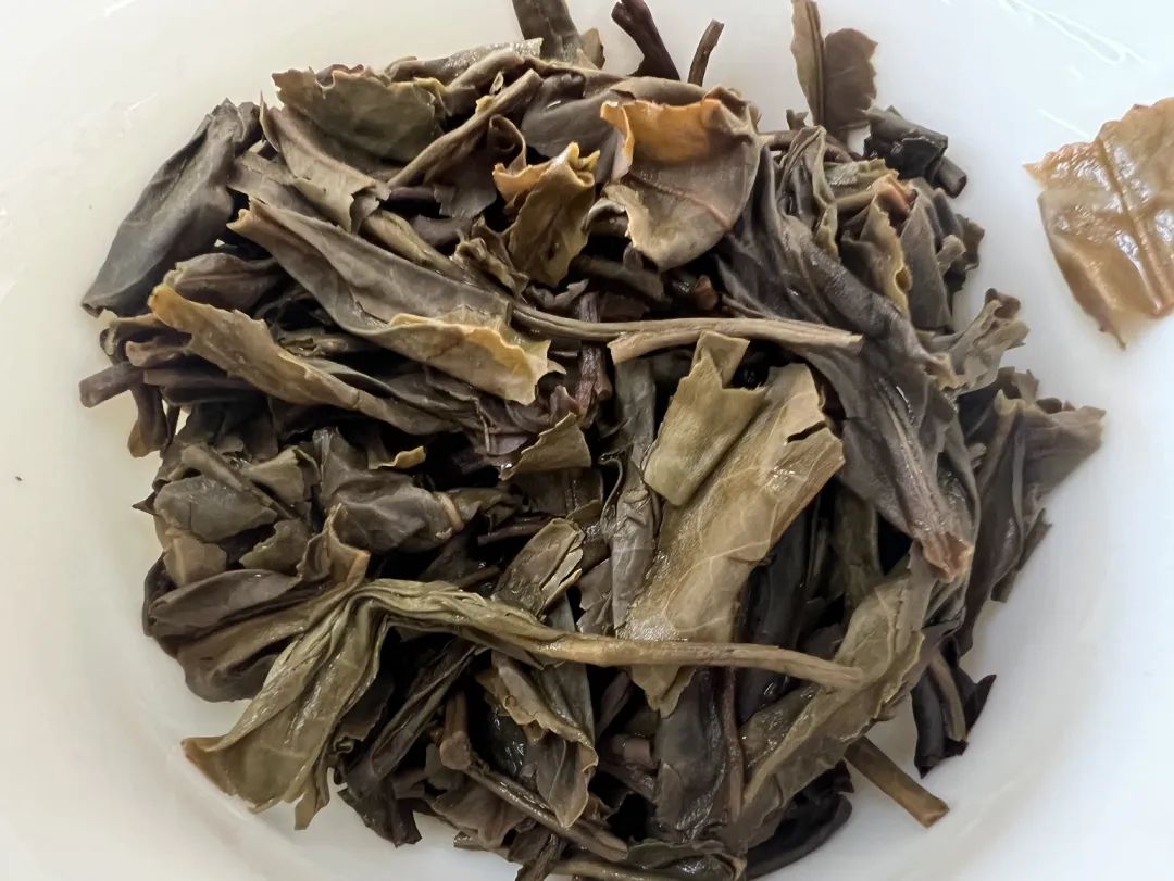 茶底信息图片1