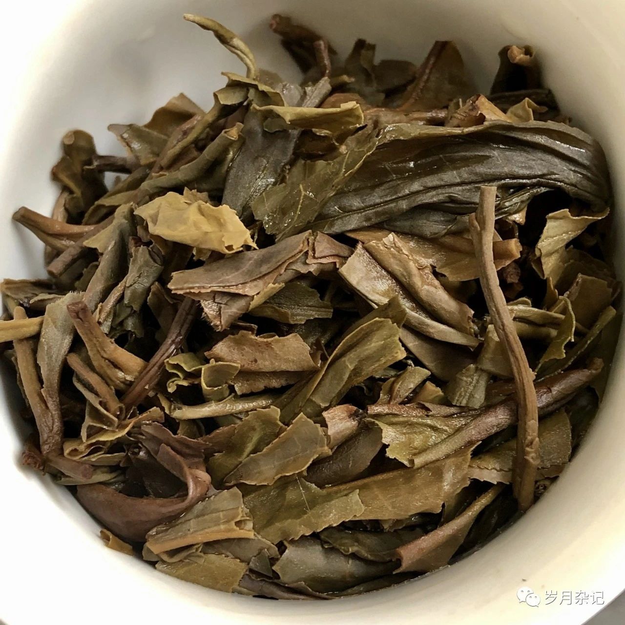 茶底信息图片1