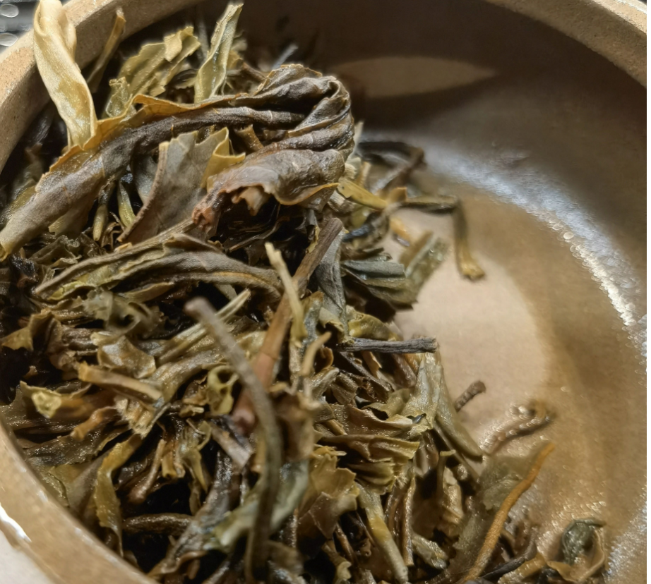 茶底信息图片1
