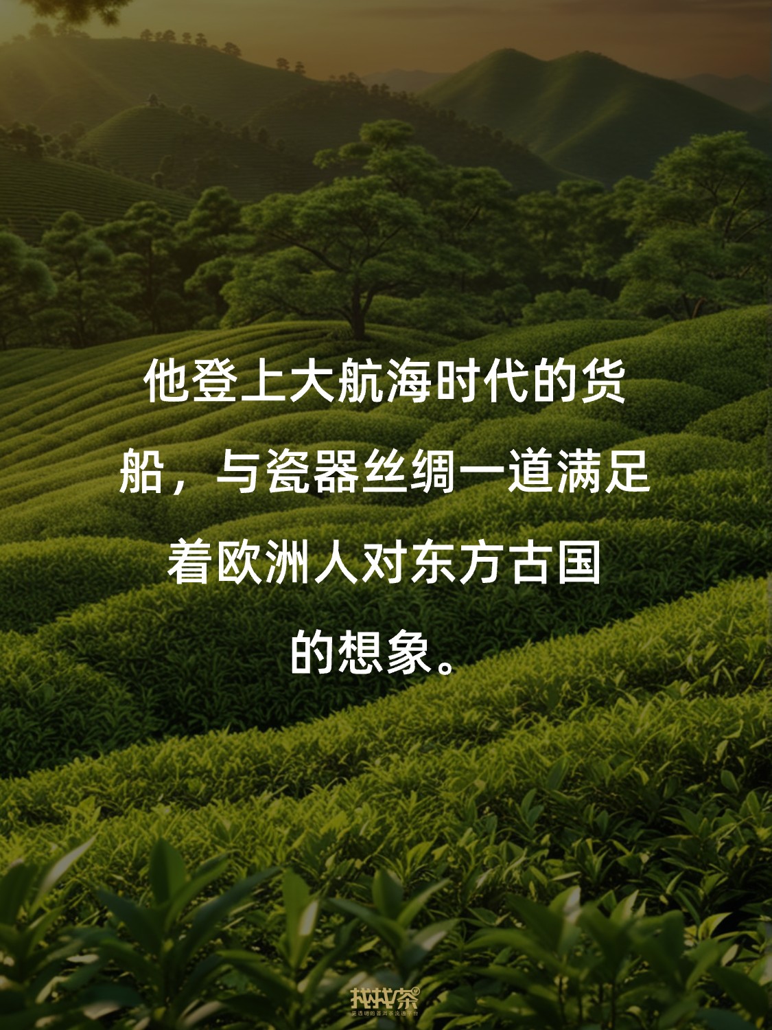 关于中国茶的神总结 写得太好了❗️配图2