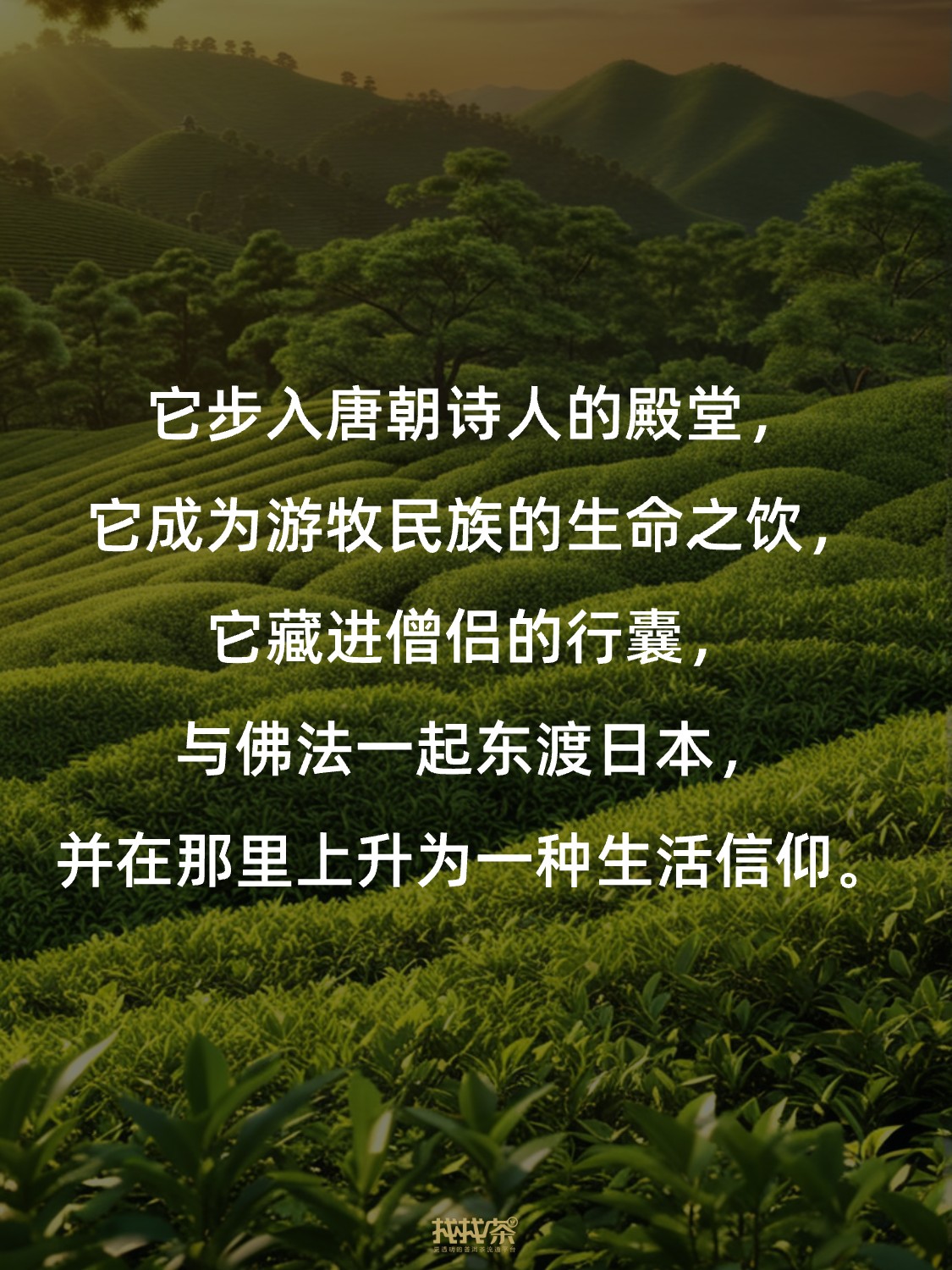 关于中国茶的神总结 写得太好了❗️配图5
