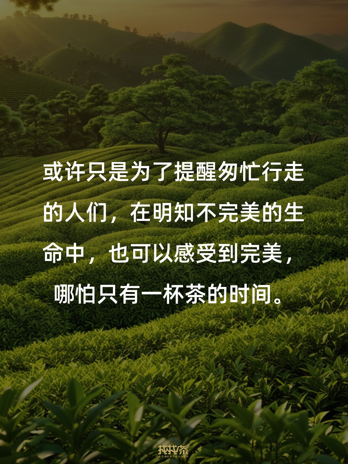 关于中国茶的神总结 写得太好了❗️配图8