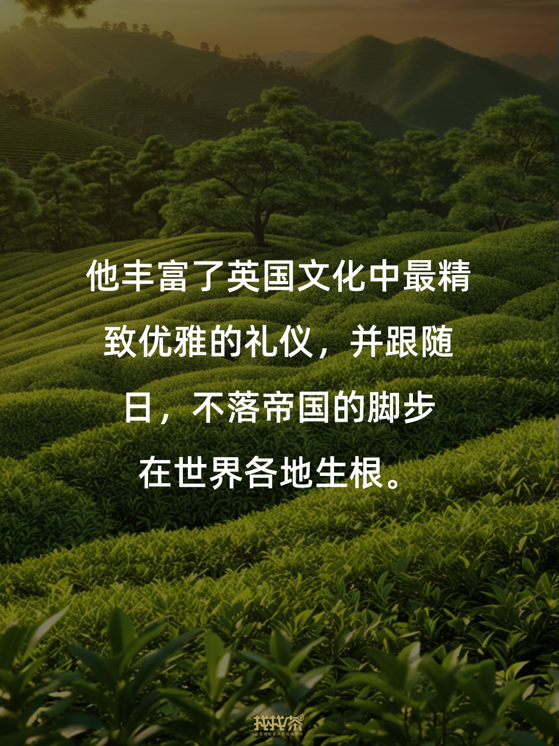 关于中国茶的神总结 写得太好了❗️配图6