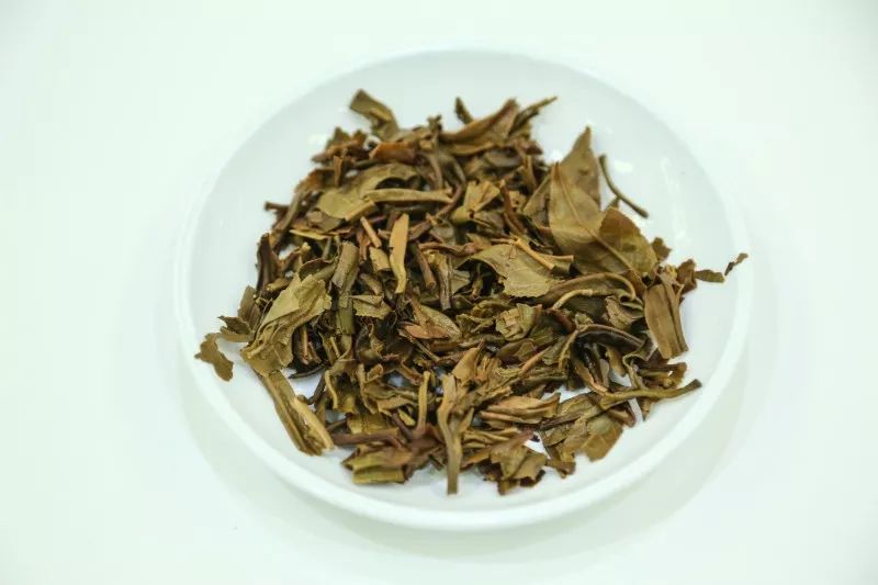 茶底信息图片1