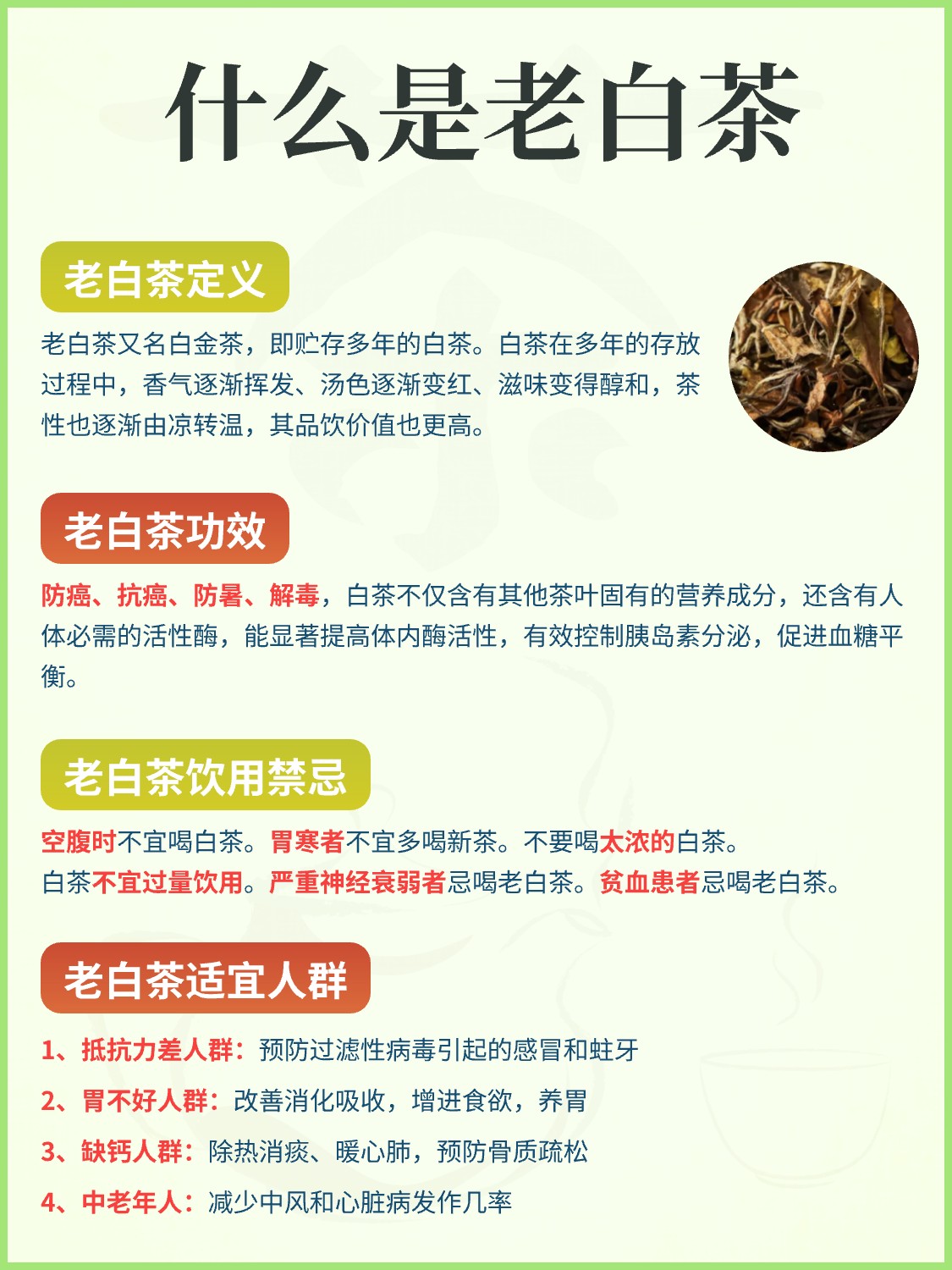 白茶为什么可以养生?配图3