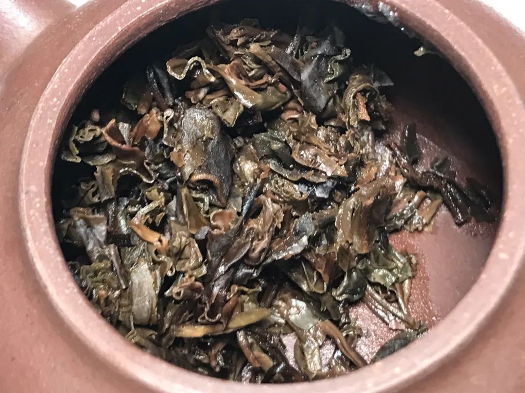茶底信息图片1