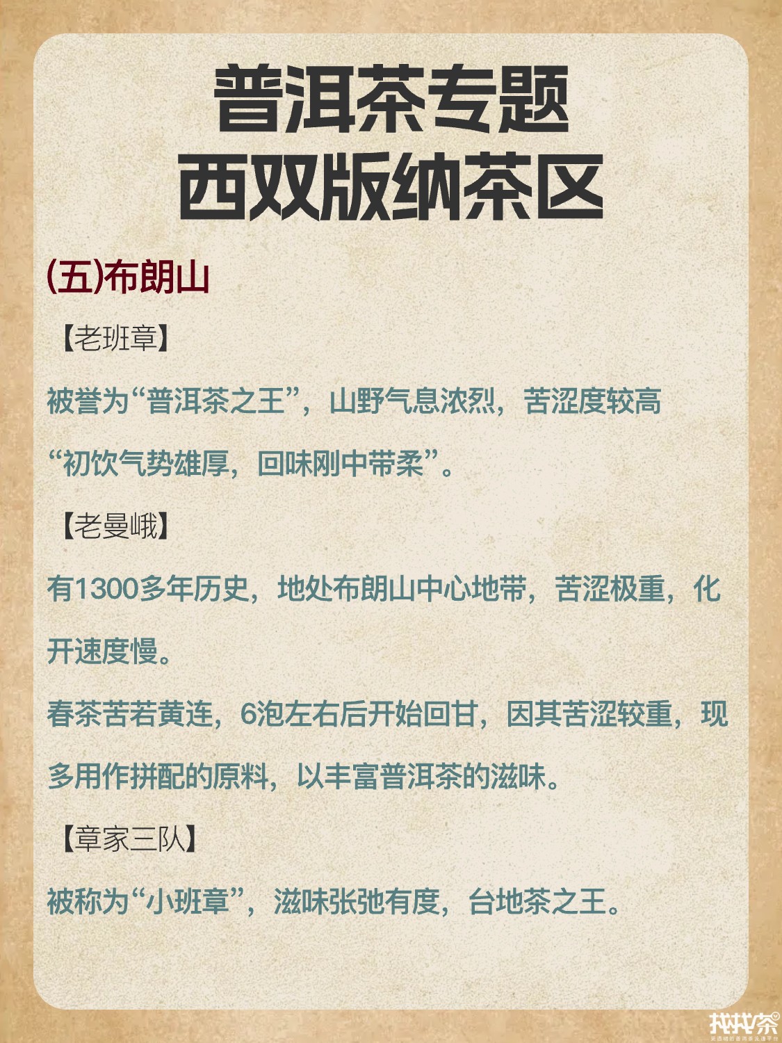 普洱茶专题🌿西双版纳茶区配图4