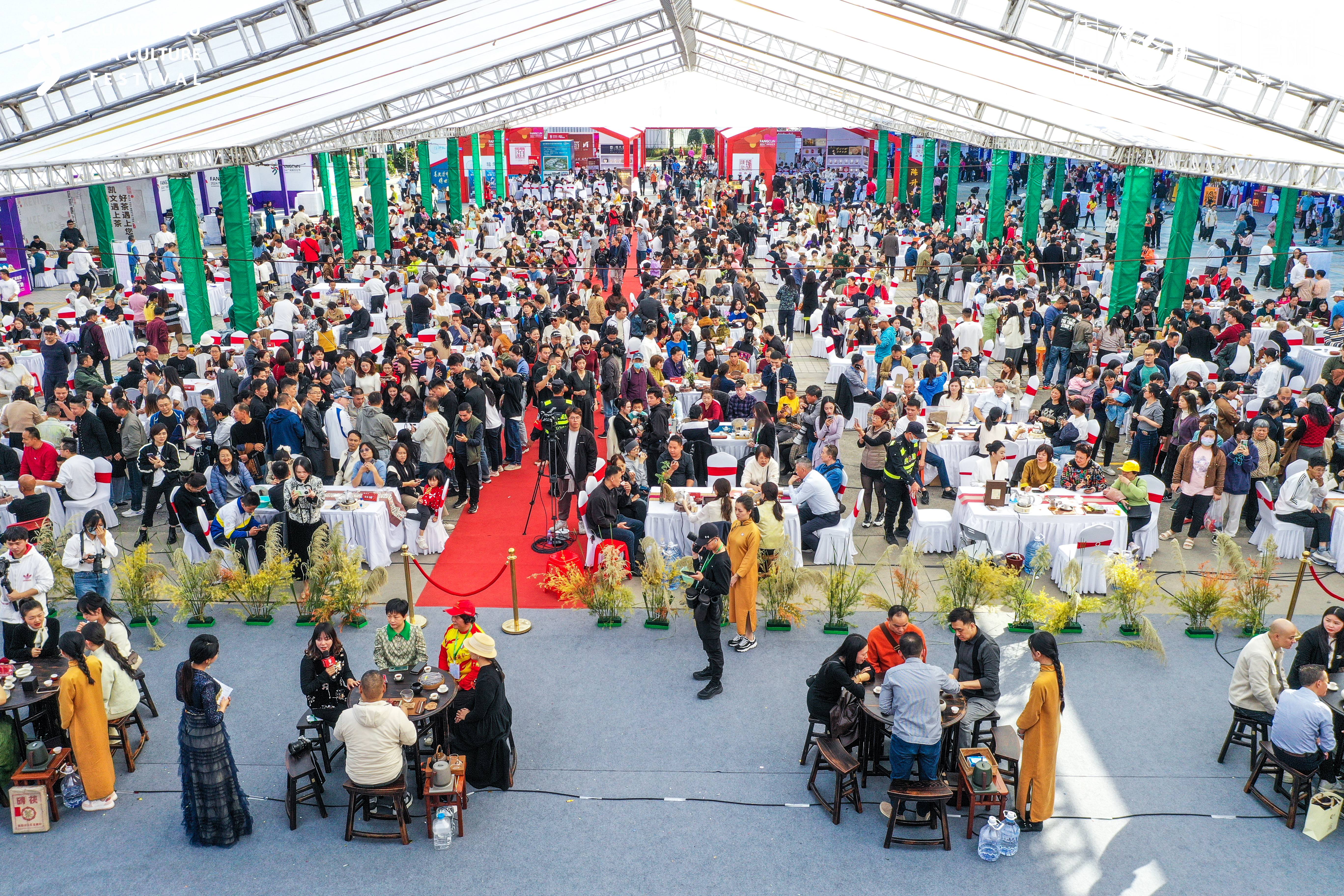 3天破5万人次!2024广州茶文化节,芳村魅力全面绽放!封面