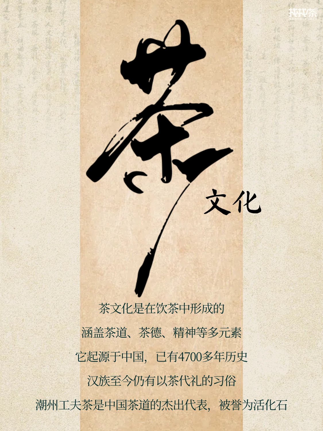 🍵非遗探秘 | 中国茶文化🌿配图1