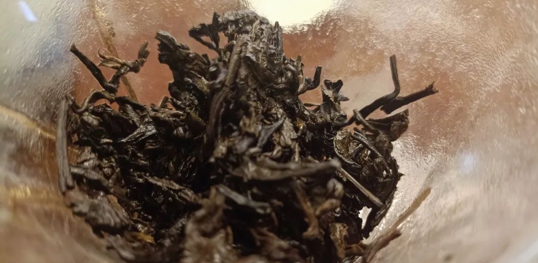 茶底信息图片1