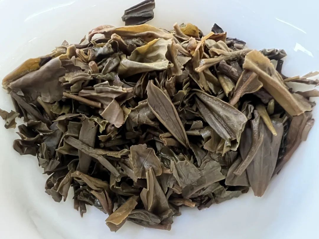 茶底信息图片1