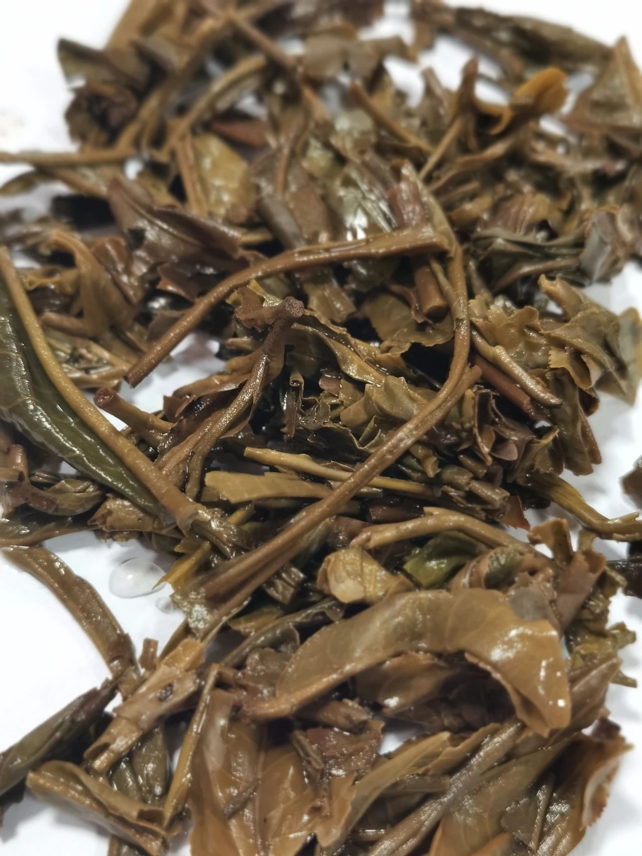茶底信息图片1