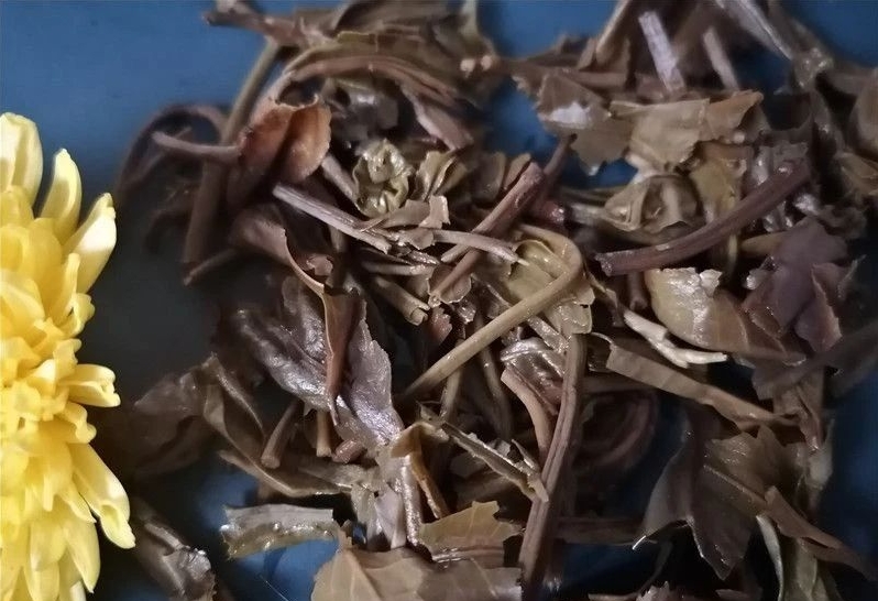 茶底信息图片1