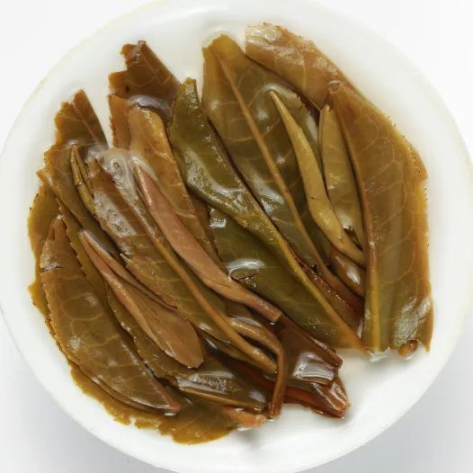 茶底信息图片1