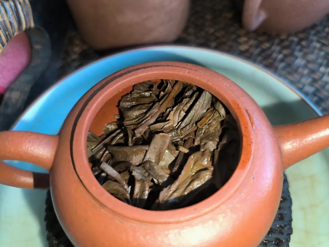 茶底信息图片1