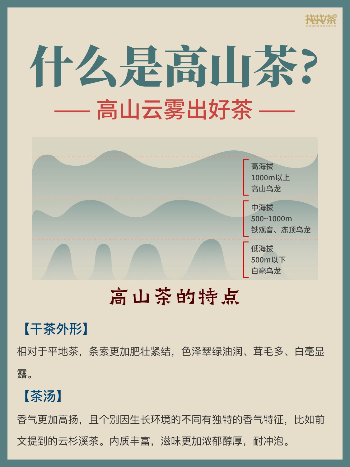 茶知识|揭秘高山云雾中的茶中瑰宝配图4