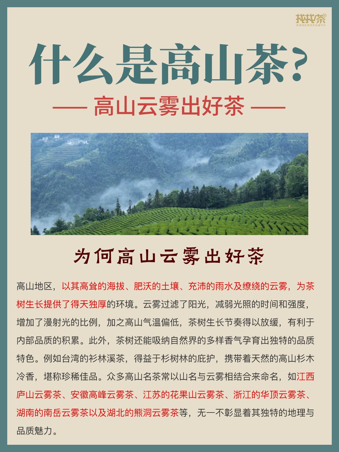 茶知识|揭秘高山云雾中的茶中瑰宝配图2