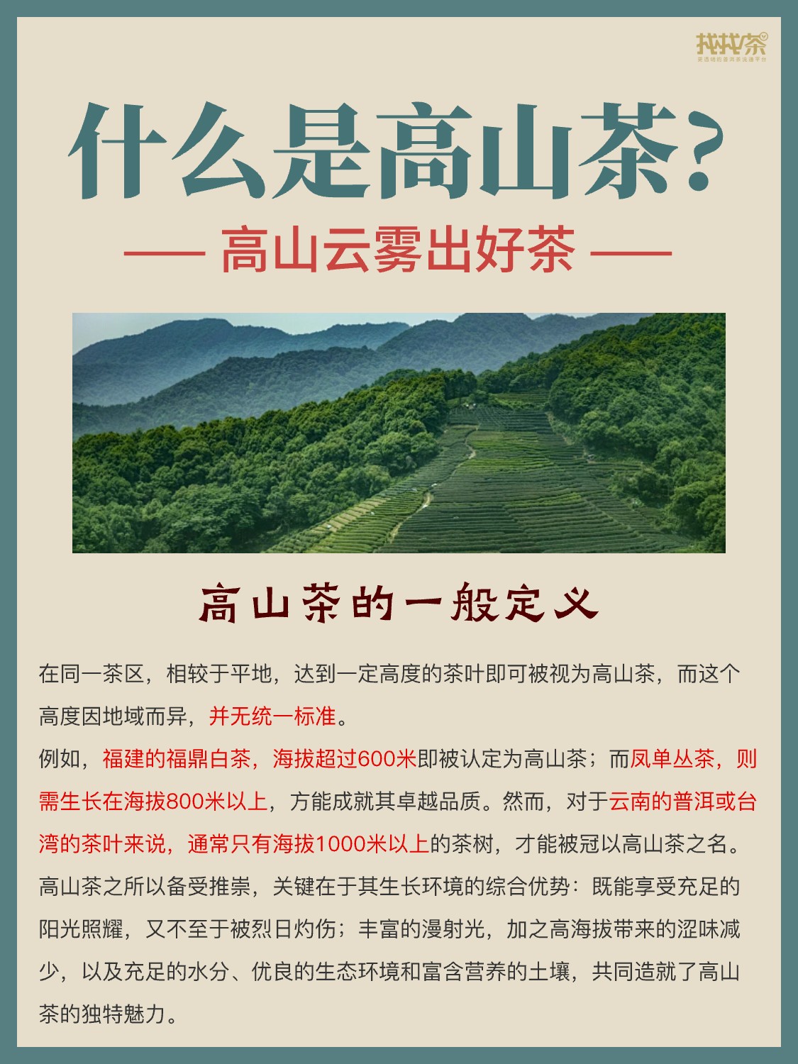 茶知识|揭秘高山云雾中的茶中瑰宝配图1