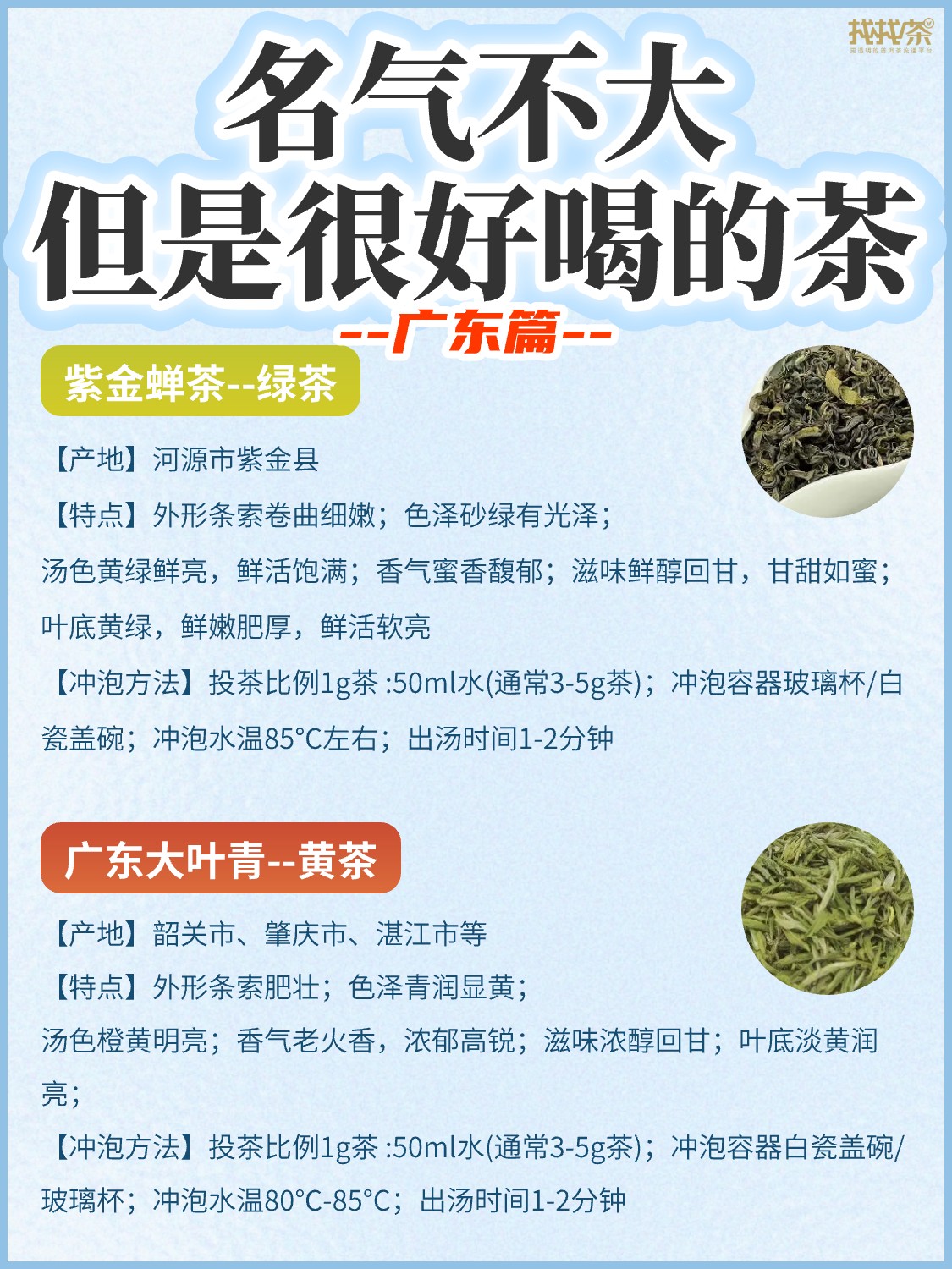 盘点名气不大🔥但是很好喝的茶《广东篇》配图4