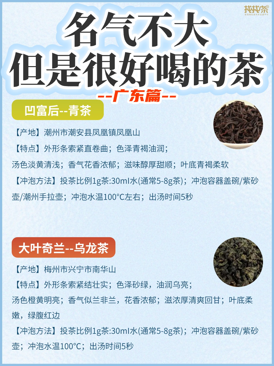 盘点名气不大🔥但是很好喝的茶《广东篇》配图2