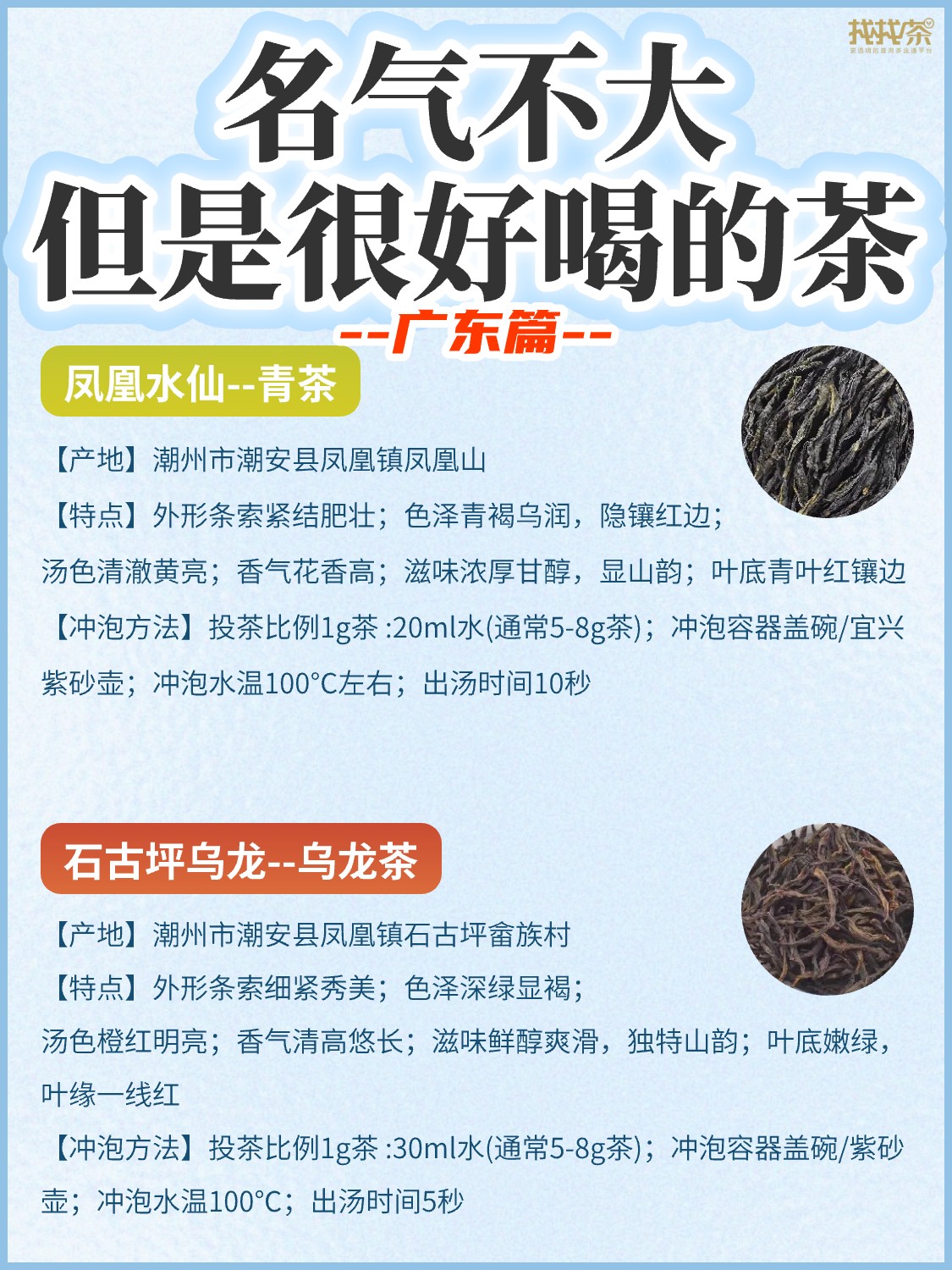 盘点名气不大🔥但是很好喝的茶《广东篇》配图3