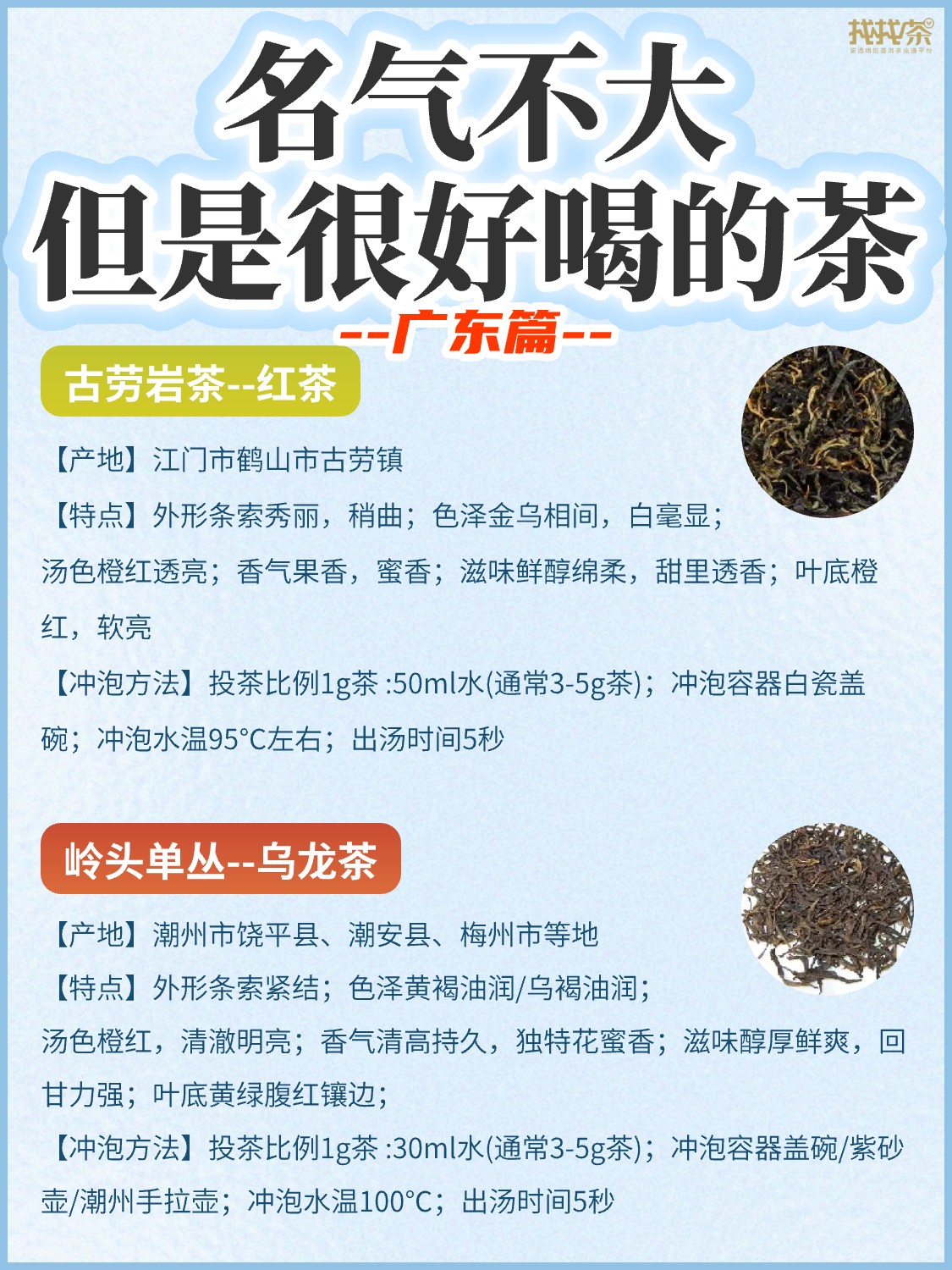 盘点名气不大🔥但是很好喝的茶《广东篇》配图5