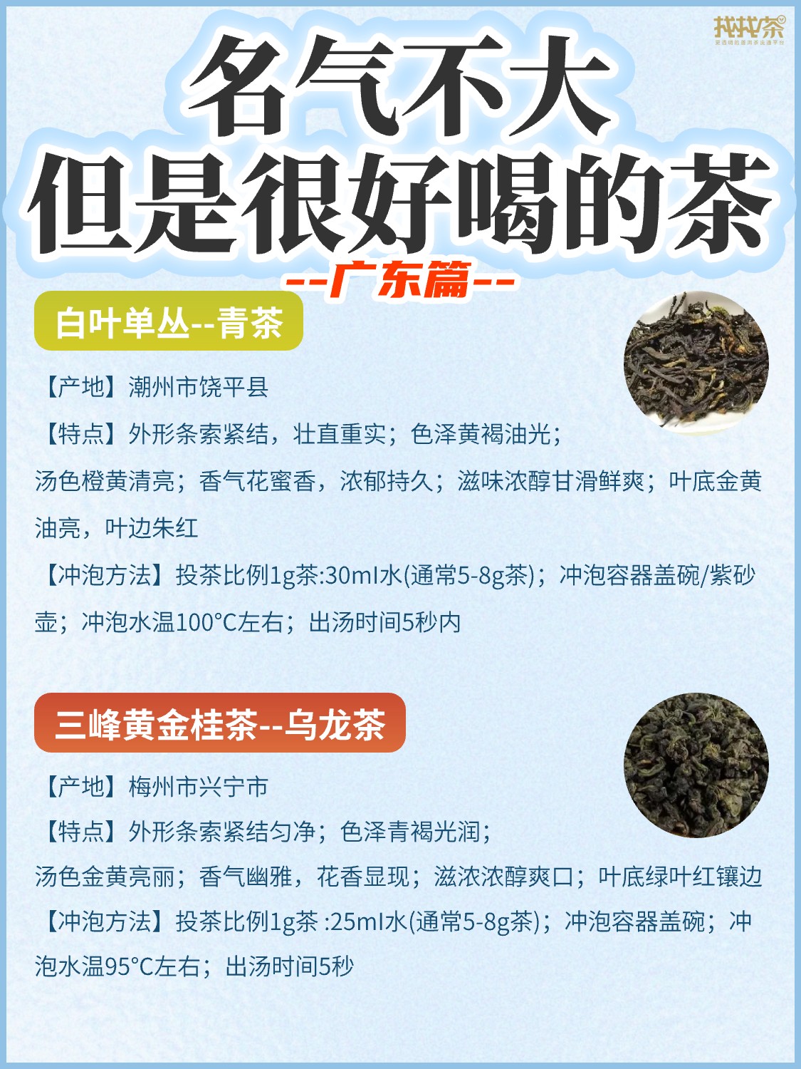 盘点名气不大🔥但是很好喝的茶《广东篇》配图6
