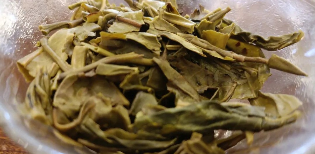茶底信息图片1