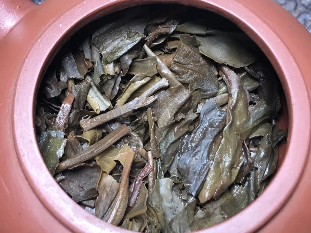 茶底信息图片1