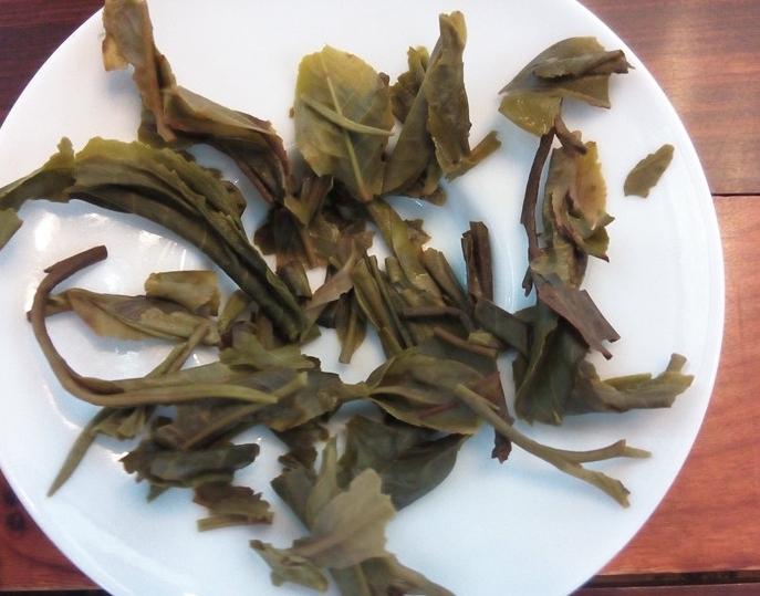 茶底信息图片1