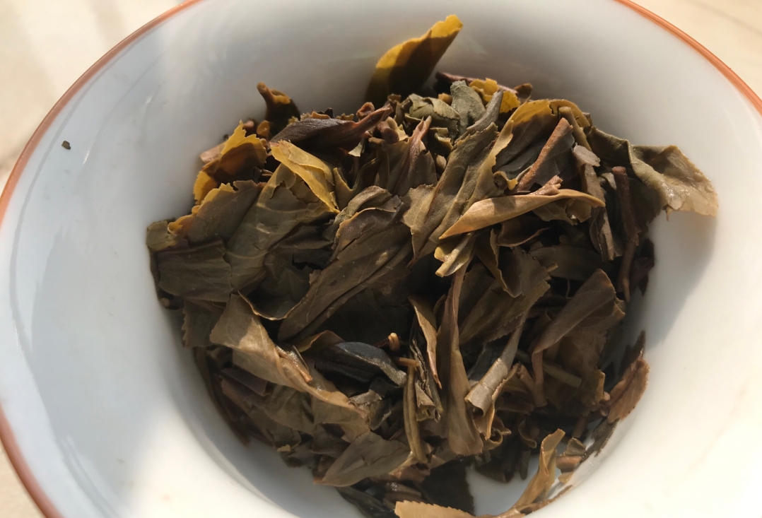 茶底信息图片1