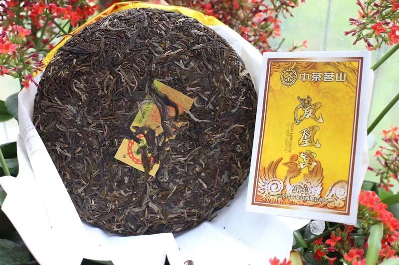 干茶信息图片1