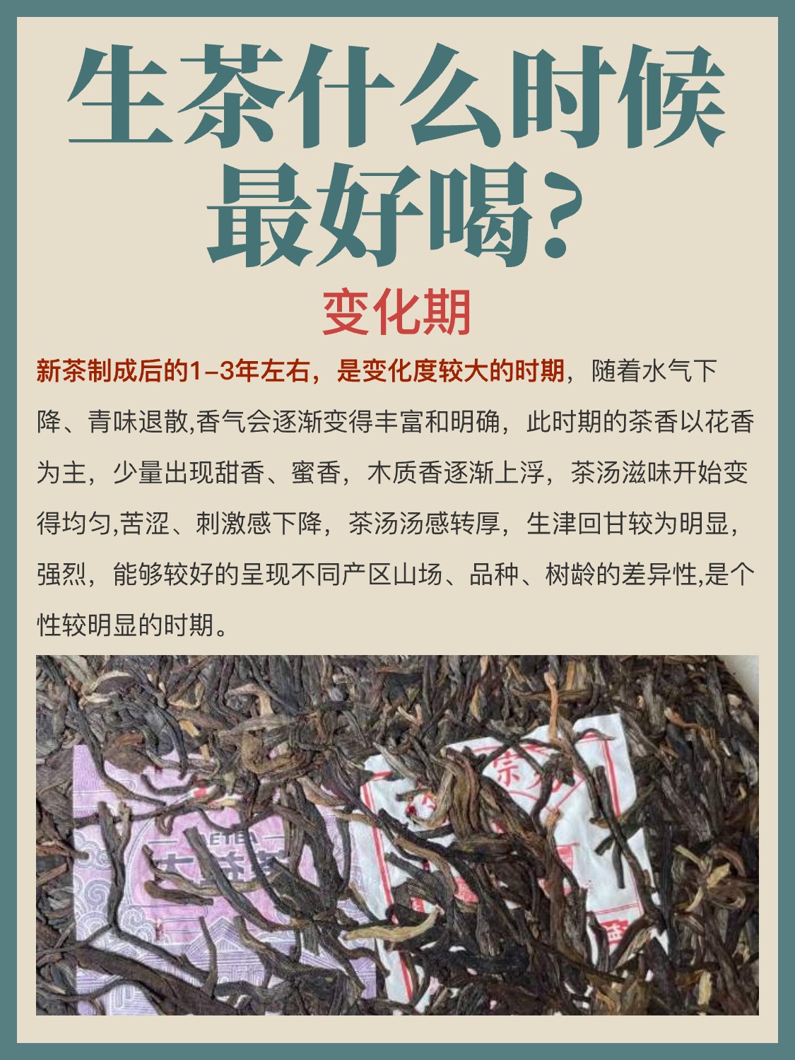 普洱茶知识 | 生茶什么时候最好喝?配图4