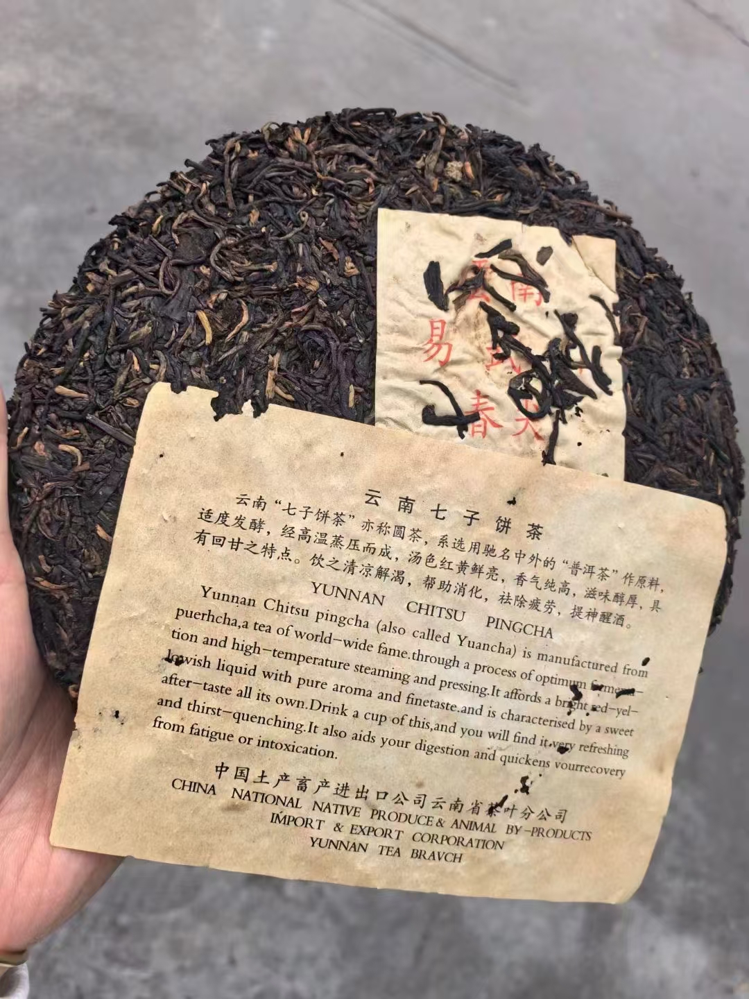 99年易武山春尖配图4