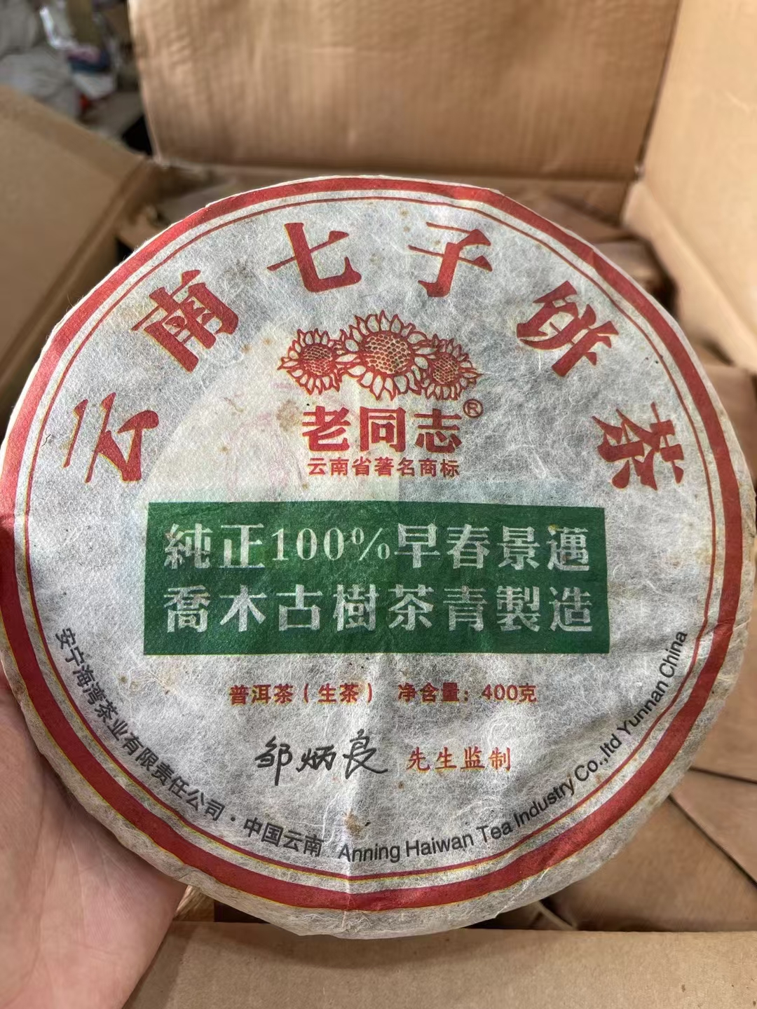 2011年老同志100%早春景迈古树配图1