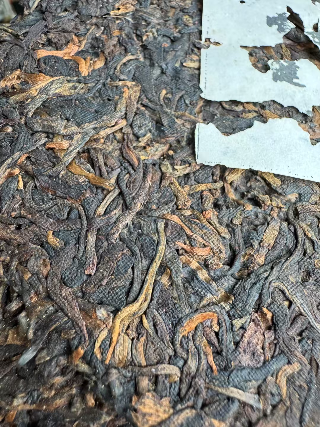 02年黎明景迈螃蟹脚配图5